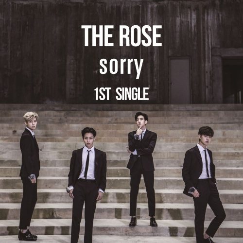The Rose - Sorry